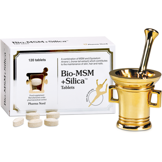 Pharma Nord Bio-MSM+Silica 120 Caps